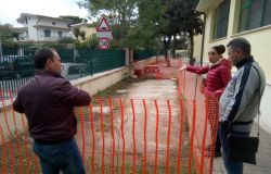 Fregene, due bimbi punti da insetti nel giardino della scuola