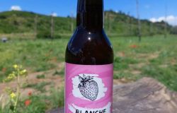 birra alla fragola