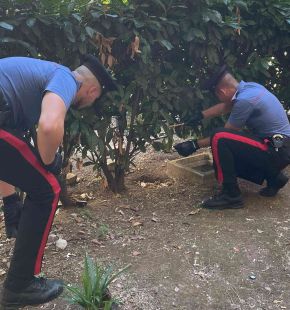 Roma, giro di vite dei Carabinieri contro lo spaccio dalla periferia al centro storico, 14 arresti, sequestrati 5,5 kg. di droga