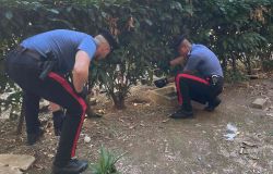 Roma, giro di vite dei Carabinieri contro lo spaccio dalla periferia al centro storico, 14 arresti, sequestrati 5,5 kg. di droga