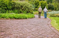 Dynamic Ageing al via “Non romperle!”, il tour itinerante dedicato alla salute muscolo-scheletrica