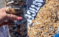 Plastic Free, Lazio protagonista dell'iniziativa di raccolta dei mozziconi di sigarette nell'ambiente