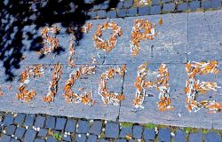 Stop cicche foto plastic free raccolta mozziconi sigarette foto plastic free