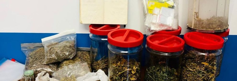 Roma, giro di vite della Polizia contro lo spaccio, da serre indoor al mercato a bordo strada, 9 arresti