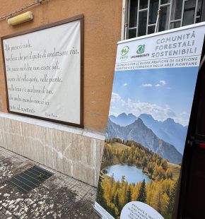 Legambiente, Lazio protagonista della nuova geografia forestale italiana