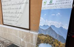 Legambiente, Lazio protagonista della nuova geografia forestale italiana