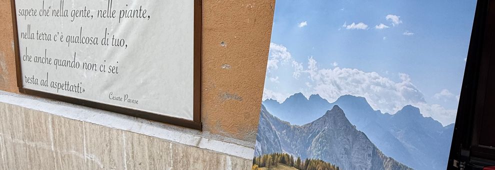 Legambiente, Lazio protagonista della nuova geografia forestale italiana Legambiente, Lazio protagonista della nuova geografia forestale italiana