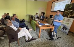 Voler bene all'Italia presentazione dati foto da comunicato