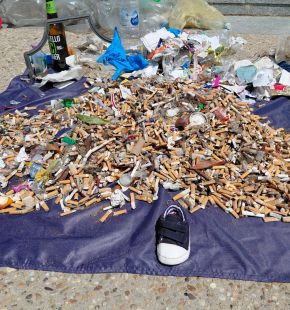 Giornata Mondiale degli Oceani, Plastic Free rimuove 12 tonnellate di rifiuti dall'ambiente