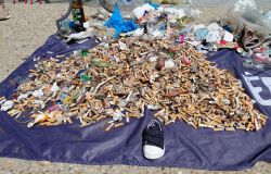 Giornata Mondiale degli Oceani, Plastic Free rimuove 12 tonnellate di rifiuti dall'ambiente