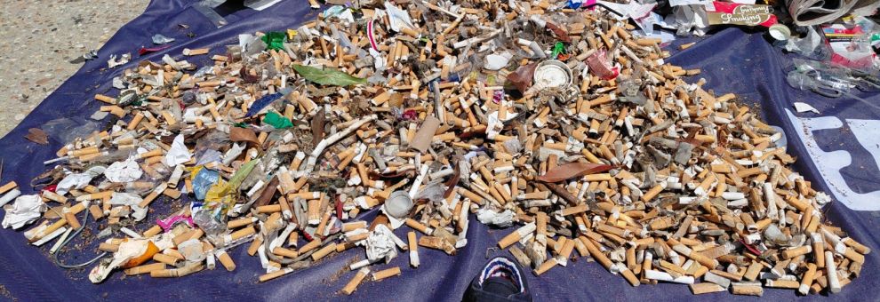 Giornata Mondiale degli Oceani, Plastic Free rimuove 12 tonnellate di rifiuti dall'ambiente