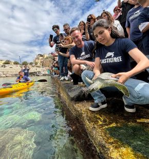 Italian Turtle Day, il 14 giugno Plastic Free promuove liberazioni di tartarughe marine