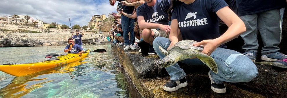 Italian Turtle Day, il 14 giugno Plastic Free promuove liberazioni di tartarughe marine Italian Turtle Day, il 14 giugno Plastic Free promuove liberazioni di tartarughe marine