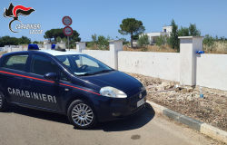 Nardò, bimba si allontana da casa, trovata dai Carabinieri mentre camminava ai bordi della Provinciale
