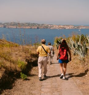 Isole Pontine, tornano le veleggiate e passeggiate poetiche, all'Abbazia di Fossanova le degustazioni di vini Isole Pontine, tornano le veleggiate e passeggiate poetiche, all'Abbazia di Fossanova le degustazioni di vini