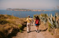 Isole Pontine, tornano le veleggiate e passeggiate poetiche, all'Abbazia di Fossanova le degustazioni di vini