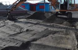 Fiumicino, operazione spiagge pulite