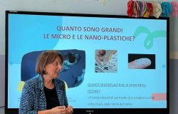 Maria Grazia Petronio, coordinatrice Campagna nazionale prevenzione danni da plastica/Vicepresidente ISDE-Italia
