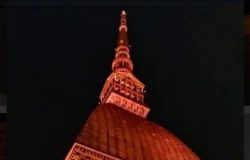MOLE_ANTONELLIANA_ARANCIO foto da comunicato stampa FSHD