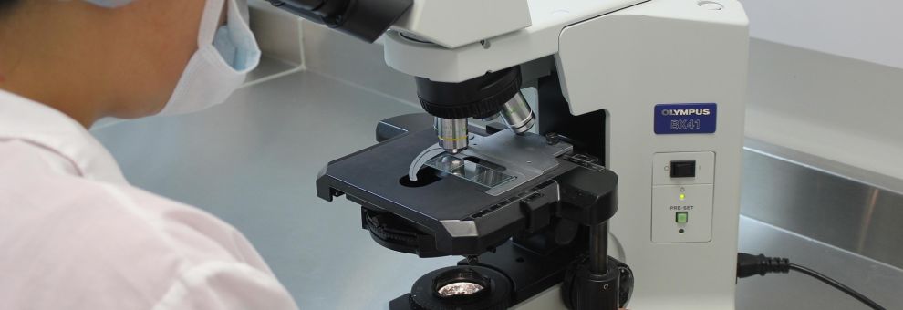 Screening e diagnosi precoce, la prevenzione resta la prima arma contro i tumori Screening e diagnosi precoce, la prevenzione resta la prima arma contro i tumori