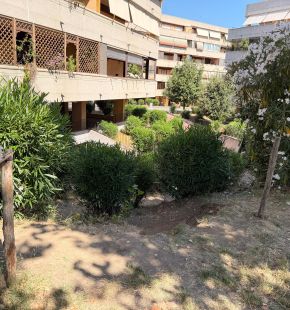X Municipio, Giardino di Roma FdI: Parco Carotenuto, intervenire e bonifcare prima che ci siano incidenti