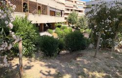 X Municipio, Giardino di Roma FdI: Parco Carotenuto, intervenire e bonifcare prima che ci siano incidenti