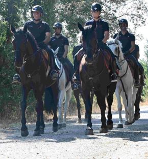 Ostia, blitz dei Carabinieri a cavallo a Castelfusano contro incendi e degrado, elevate sanzioni per 46 mila euro