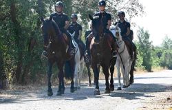 Ostia, blitz dei Carabinieri a cavallo a Castelfusano contro incendi e degrado, elevate sanzioni per 46 mila euro