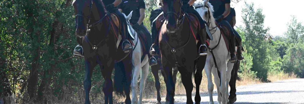 Ostia, blitz dei Carabinieri a cavallo a Castelfusano contro incendi e degrado, elevate sanzioni per 46 mila euro