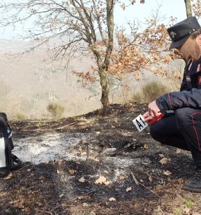 Campagna Antincendio Boschivo 2026 Carabinieri Forestali, rafforzato  il dispositivo nazionale