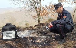 Campagna Antincendio Boschivo 2026 Carabinieri Forestali, rafforzato  il dispositivo nazionale