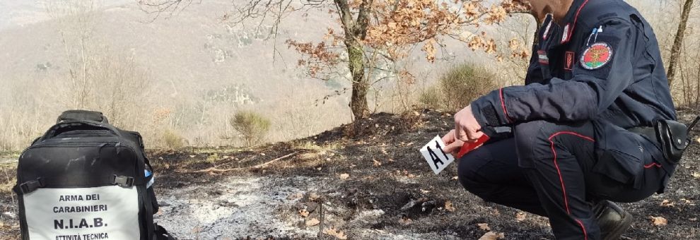 Campagna Antincendio Boschivo 2026 Carabinieri Forestali, rafforzato  il dispositivo nazionale