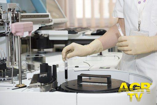 Grassi, i laboratori d'analisi per ora non si toccano....
