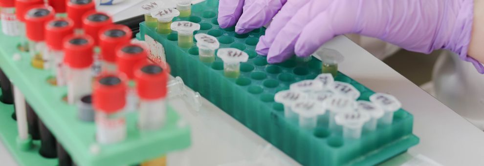 Londra, Eshre 42 annual meeting, la procreazione medicalmente assistita è cambiata, il fattore tempo resta decisivo Londra, Eshre 42 annual meeting, la procreazione medicalmente assistita è cambiata, il fattore tempo resta decisivo