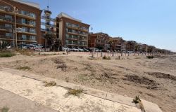 Ostia, spiaggia dei cani senza controllo, chiesta l'attivazione di una postazione della Polizia locale
