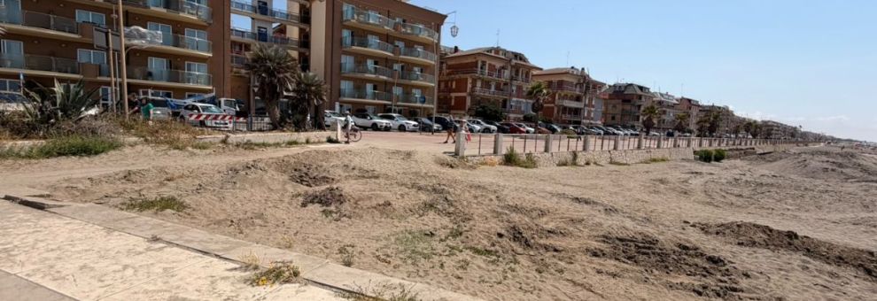 Ostia, spiaggia dei cani senza controllo, chiesta l'attivazione di una postazione della Polizia locale