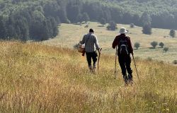 Opera Sila A farla amare comincia tu   © PH: Ufficio Stampa Rosita Mercatante