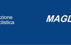 Federazione Motociclistica Italiana