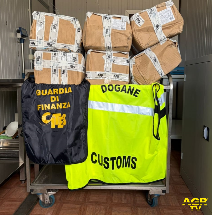 Materiale sequestrato 17/07/2026 Agenzia Dogane Monopoli - credis Foto da comunicato stampa tratto da Met.its Materiale sequestrato 17/07/2026 Agenzia Dogane Monopoli - credis Foto da comunicato stampa tratto da Met.its