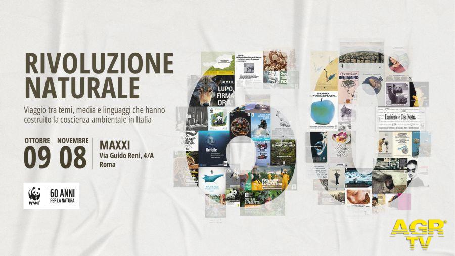 Rivoluzione Naturale locandina mostra da comunicato stampa Rivoluzione Naturale locandina mostra da comunicato stampa