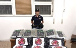 Polizia Flaminio drogra sequestrata a Riano