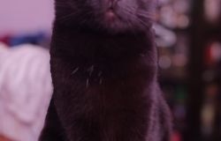 FREYA, 7 anni - © Foto Credits - Lyudmyla Hnatyk