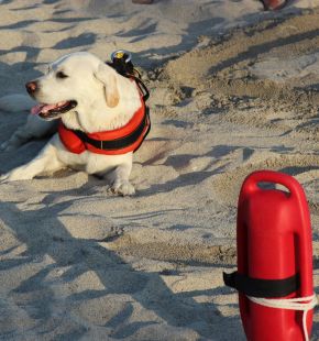 Ostia, torna domenica 2 agosto la Giornata Dimostrativa Sicurezza e Salvataggio in Mare