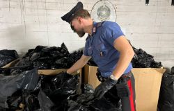 Ardea, maxi sequestro di Oppio dei Carabinieri, oltre 100 kg. sequestrati, in manette 4 persone