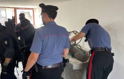 Carabinieri_Trastevere controlli tra_Primavalle_e_Bastogi_con_Tuscania
