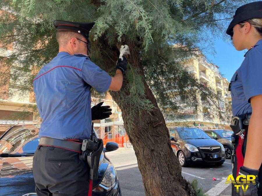 Carabinieri OSTIA_la_droga_nascosata_su_un_albero_(2) Carabinieri OSTIA_la_droga_nascosata_su_un_albero_(2)