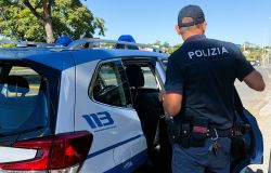 Roma, furti negli esercizi commerciali,auto in sosta ed abitazioni, 12 arresti
