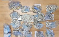 Roma Termini, sequestrati 7,800 kg. di cocaina ed eroina,  arrestato il corriere 27enne
