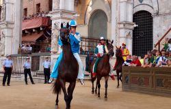 Palio di Siena, Animal Equality chiede maggiori tutele per i cavalli stop macellazione a fine carriera