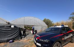 Carabinieri Castel Gandolfo coltivazione canapa sequestrata